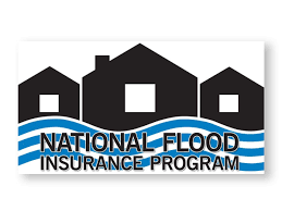 Nationalflood logo