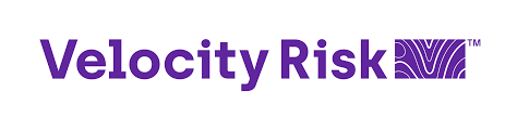 Vilocity Risk logo